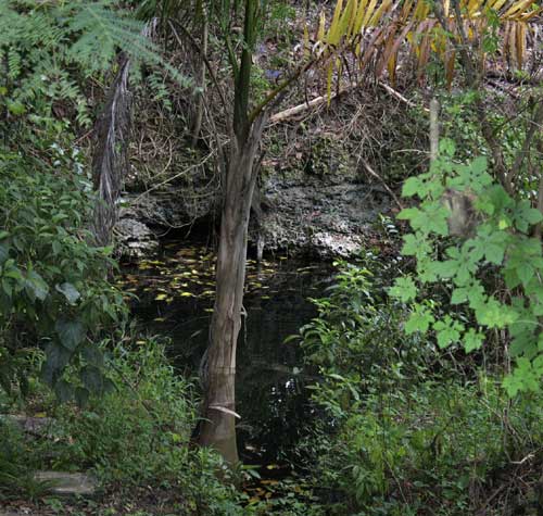 Ye olde swimming hole