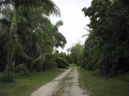 Entering Possum Trot Nursery