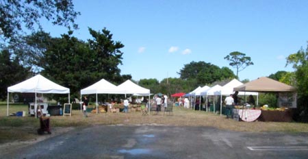 Vendors set up at the new Southwest Community Farmers' Market.