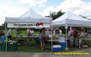 The heart of the matter was found at the Bee Heaven Farm tents.