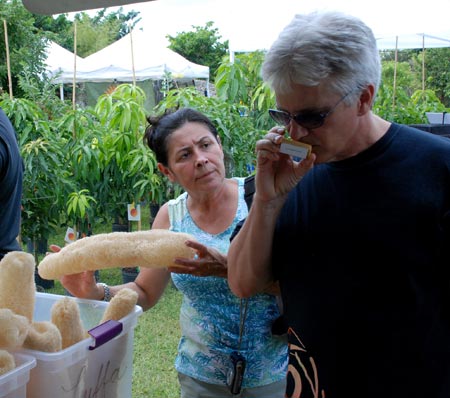 Selecting loofahs and goat's milk soap.