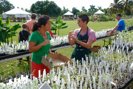 Farm intern Nicole Fiori helps a customer choose heirloom tomato seedlings.