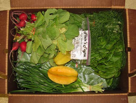 Opening the first box of the season.