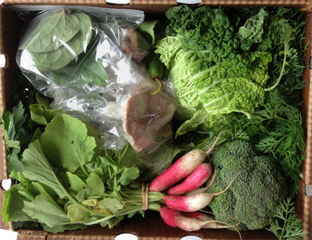 Small share animation