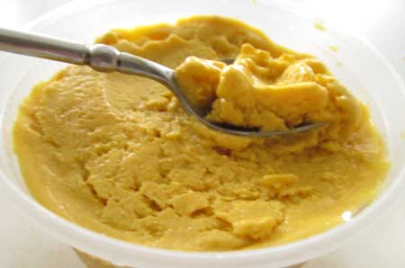 Mango-Coconut sherbet