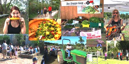 Farm Day fun! Collage by Margie Pikarsky