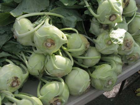 Lots of kohlrabi at market.