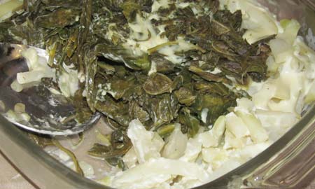 Kohlrabi with white sauce