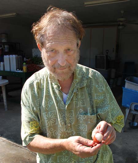 Grower Steve Green getting ready to taste a lychee for ripeness.